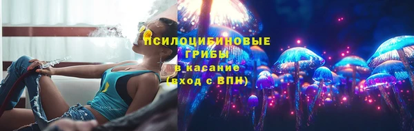 стафф Зерноград