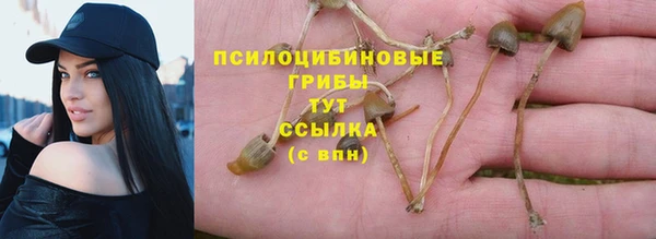 молекула духа Зеленодольск