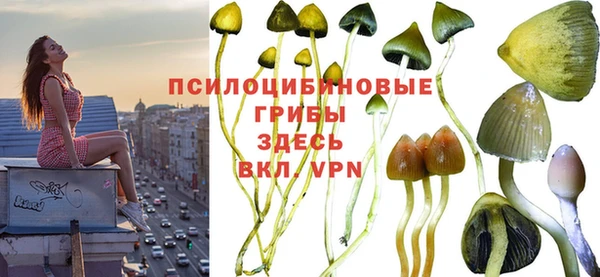 молекула духа Зеленодольск