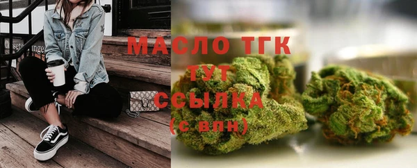 молекула духа Зеленодольск