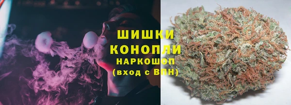 молекула духа Зеленодольск